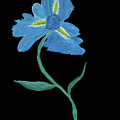 Blue Iris Abstract