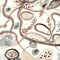 Curvilinear Dreamscape